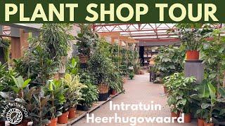 House Plant Shopping at a new place! Intratuin Heerhugowaard | Plant with Roos