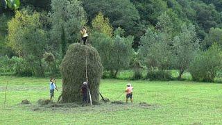 Romania - Village Life in Maramures and the narrow gauge steam train, the Mocanita