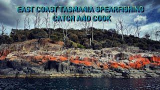 Spearfishing Catch & Cook Tasmanian East Coast, Abalone XTAPODI, Amazing Coastline, Chillout, EP 36