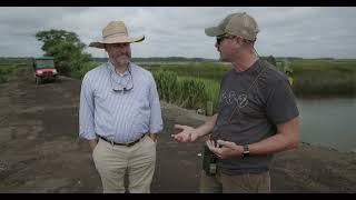 Weathering Tides: Saving the Black Rail in South Carolina