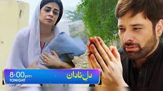 Dil e Nadan Episode 28 to Ending Story Revealed | Mikal Zulfiqar | Amar Khan #dilenadan28