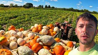 Pumpkin Picking Season Is Here