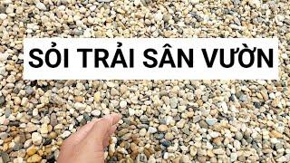 Sỏi trang trí sân vườn | Đá cuội trang trí sân vườn