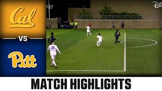 Cal vs. Pitt Match Highlights | 2024 ACC Men's Soccer