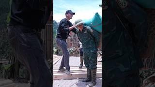 Building a Wooden House in the Storm  #bamboohouse #farming #sungapao