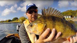 Giant Perch Fishing - Tips | Tackle | Tactics