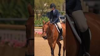 #horse #hunterjumper #equestrian #horses #blowup #viral#fyp #edit #horselover #goviral