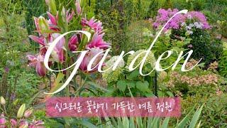 [Garden] 싱그러운 꽃향기 가득한 여름 정원 | 백합, 에키네시아, 플록스, 참나리, 빗소리, 가드닝