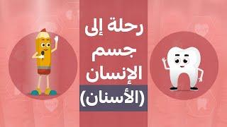 رحلة إلى جسم الإنسان (الأسنان) ..كرتون للأطفال