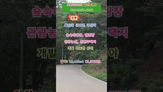 (급매) 울진군 근남면 구산리 개발가능한 임야 5,571평 (협의가능)