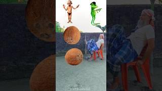 Rounding coconuts to Dame Tu Cosita, Gorilla, Joker & Frog - Dance magic video