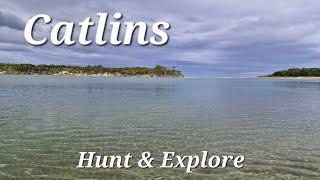 Red Deer Hunting - Catlins New Zealand