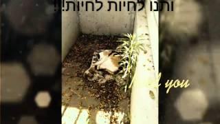 פרסומת תנו לחיות לחיות