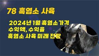 [78] 2024년 1월현재 흑염소 출하가격, 사육비용과 수익율, 흑염소 사육의 미래 전망