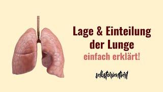 Lage & Einteilung der Lunge einfach erklärt! - Anatomie | Einteilung der Lunge in Segmente Medizin