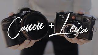 A Wedding Photographer's Film Cameras - Canon, Leica, & Olympus