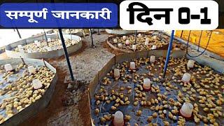 poultry farm me 0 din aur 1 din ki poori jankari