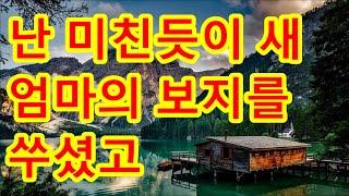 2억 수익을 달성한 며느리의 주식고수 별명에 묻고 10억땅으로  /  용기/한류