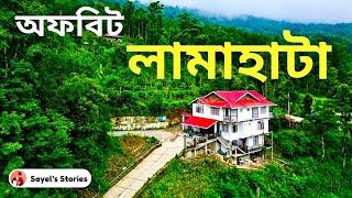 Offbeat Darjeeling | Lamahatta Grove Homestay | New Places in North Bengal | Lower Lamahatta