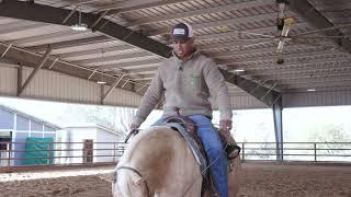 HOW TO TEACH YOUR HORSE TO BE FOCUSED