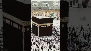 ya taiba ya taiba #islamic #short #video