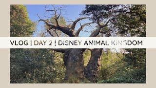 VLOG | DAY 2  - Disney’s Animal Kingdom #disney #disneyworld #travelvlog #vlog