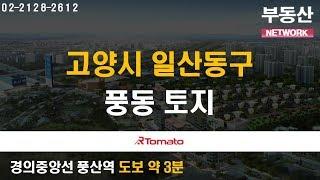 부동산토마토TV 알토마토 rtomato 04/12(금) 부동산네트워크 : 경의중앙선 풍산역 도보 약 3분 고양시 일산동구 풍동 토지