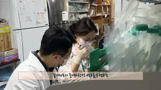 서울대학교 보라매병원