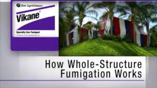 What To Expect During Termite Fumigation