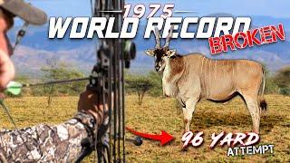 Bowhunting A WORLD RECORD Patterson Eland | BEAST BROADHEAD |