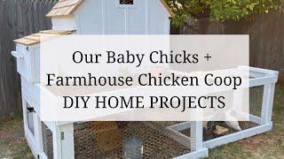 DIY Farmhouse Chicken Coop + Our Chickens!