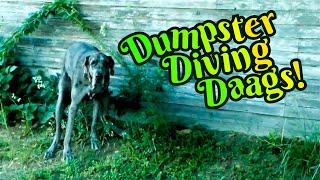 Curbside Scavenging & Dumpster Diving Daags!