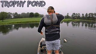 I Found the Pond Giants.... (Trophy Pond)