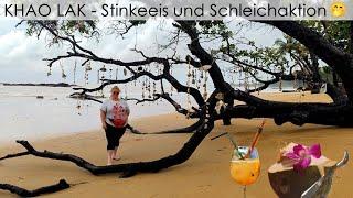 Stinke-Eis, viele Gekkos und Schleichaktionen! - Thailand Reise