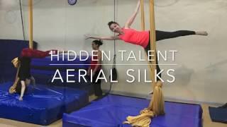 Pole, Aerial  & Dance Classes @ Hidden Talent Aerial