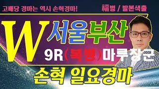 고배당 경마는 역시 손혁 경마 6/15(일)서울/부산 복병마 내용을 확인해 보세요!!
