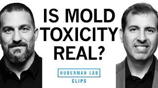 Mold Toxicity: Signs, Symptoms, & Treatment | Dr. Roger Seheult & Dr. Andrew Huberman