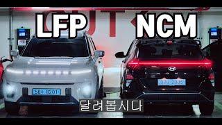 LFP 배터리는 정말 쓰레기인가?