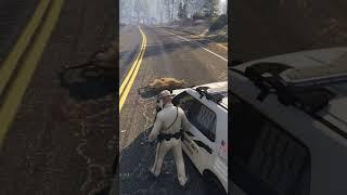 State trooper hits deer... #shorts #lspdfr