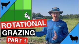 Rotational Grazing Part 1: Concept and Benefits