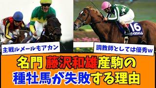 名門 藤沢和雄産駒の種牡馬が失敗する理由