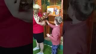 контактный зоопарк в Иркутске. часть 2