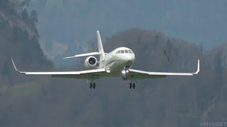 Bird Strike while landing - Dassault Falcon 2000LX