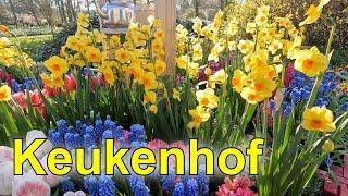 Keukenhof - The most beautiful spring garden in the world! - 2023 part 1