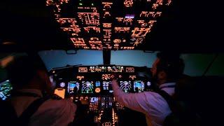 Flying In Extreme Weather Conditions | Heavy Snow | Boeing 737 Go Around Cockpit View