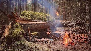 Bushcraft in a cold winter forest. Build Primitive shelter for survival. Survival skills in the wild