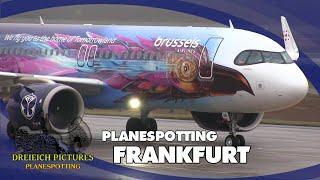 Planespotting Frankfurt Airport | November 2024 | Part 1