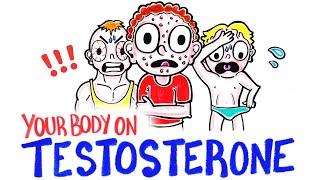 What Happens When You Take Testosterone?