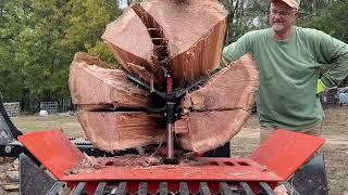 Beautiful Red Oak #firewood #splitting #stihlchainsaw @WolfeRidgeSplitters