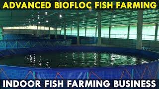 Advanced Biofloc Fish Farming Technology | Indoor Fish Farming Business